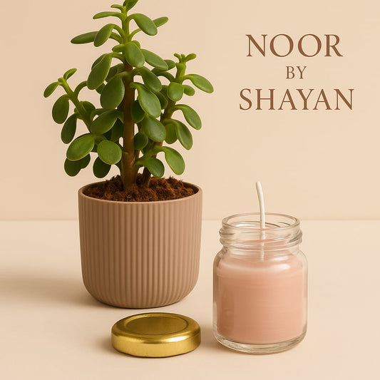 Citrus Zing - Energy Boost Candle